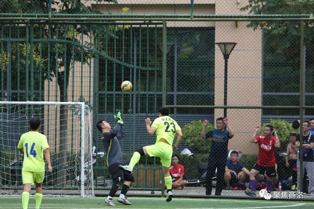 包含激烈角逐即将拉开序幕，各队实力备战的词条